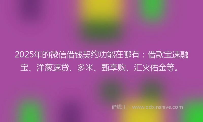 2025年的微信借钱契约功能在哪有：借款宝速融宝、洋葱速贷、多米、甄享购、汇火佑金等。