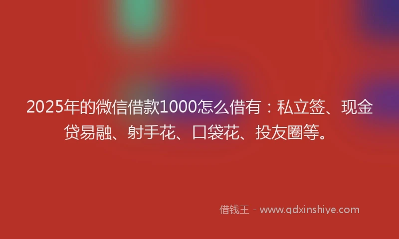 2025年的微信借款1000怎么借有：私立签、现金贷易融、射手花、口袋花、投友圈等。