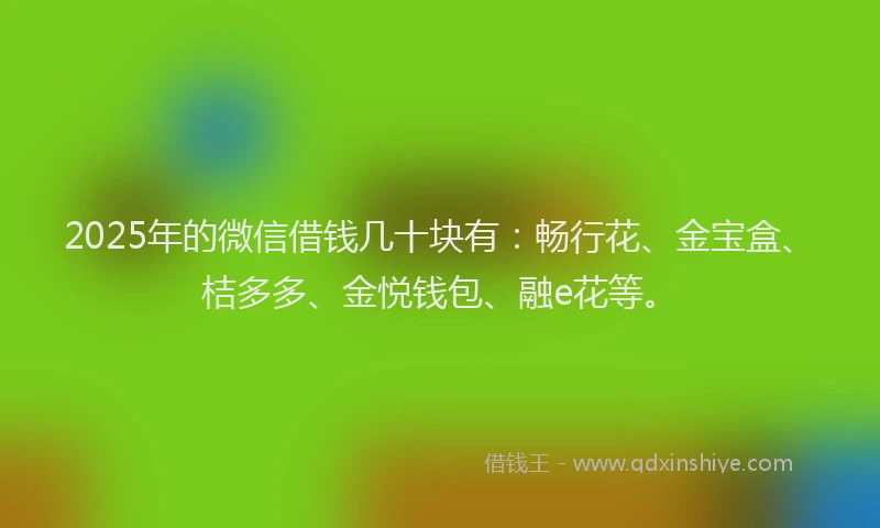 2025年的微信借钱几十块有：畅行花、金宝盒、桔多多、金悦钱包、融e花等。