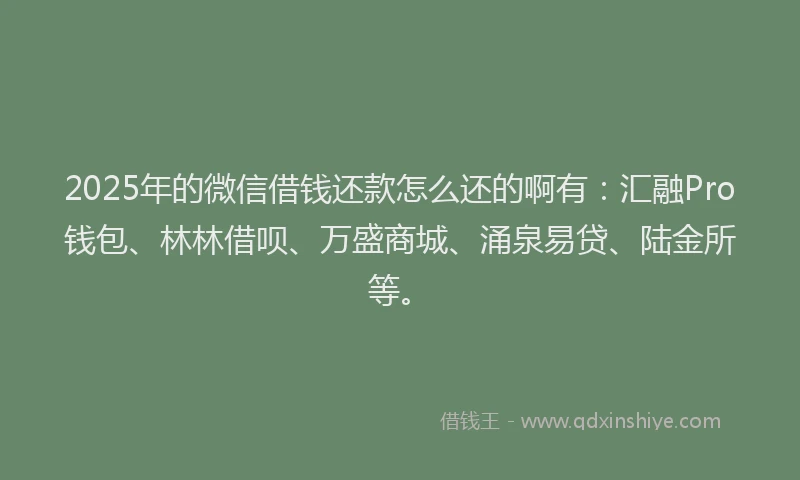 2025年的微信借钱还款怎么还的啊有：汇融Pro钱包、林林借呗、万盛商城、涌泉易贷、陆金所等。