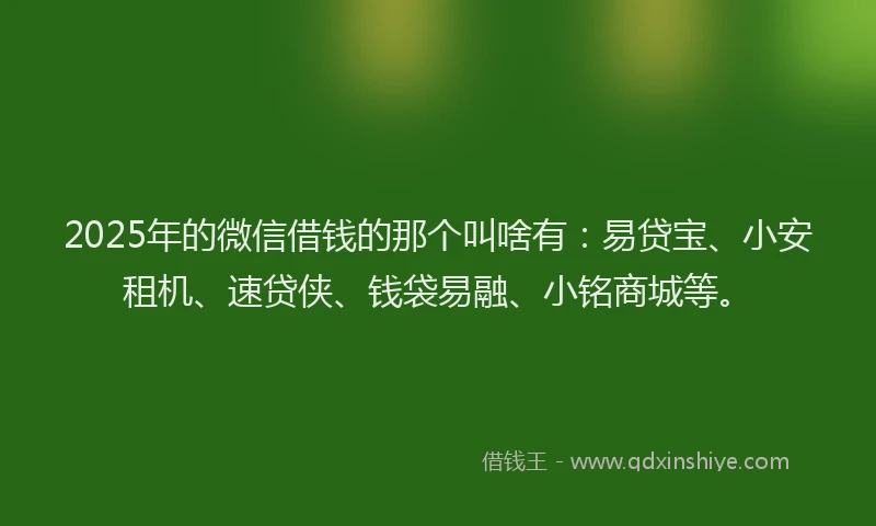 2025年的微信借钱的那个叫啥有：易贷宝、小安租机、速贷侠、钱袋易融、小铭商城等。