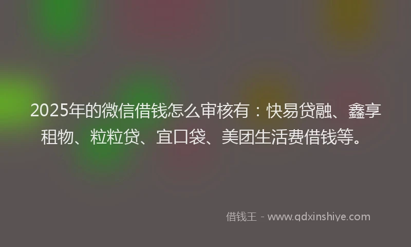 2025年的微信借钱怎么审核有：快易贷融、鑫享租物、粒粒贷、宜口袋、美团生活费借钱等。
