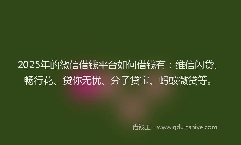 2025年的微信借钱平台如何借钱有：维信闪贷、畅行花、贷你无忧、分子贷宝、蚂蚁微贷等。