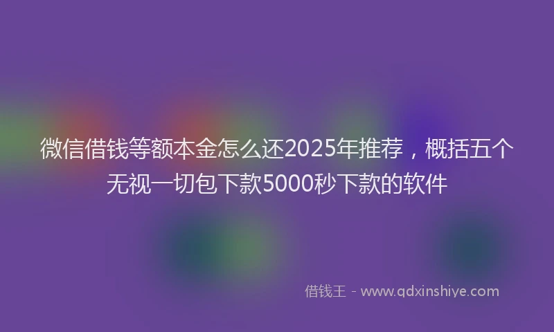 微信借钱等额本金怎么还2025年推荐，概括五个无视一切包下款5000秒下款的软件