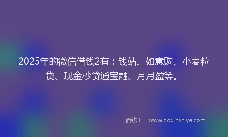 2025年的微信借钱2有：钱站、如意购、小麦粒贷、现金秒贷通宝融、月月盈等。