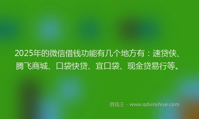 2025年的微信借钱功能有几个地方有：速贷侠、腾飞商城、口袋快贷、宜口袋、现金贷易行等。