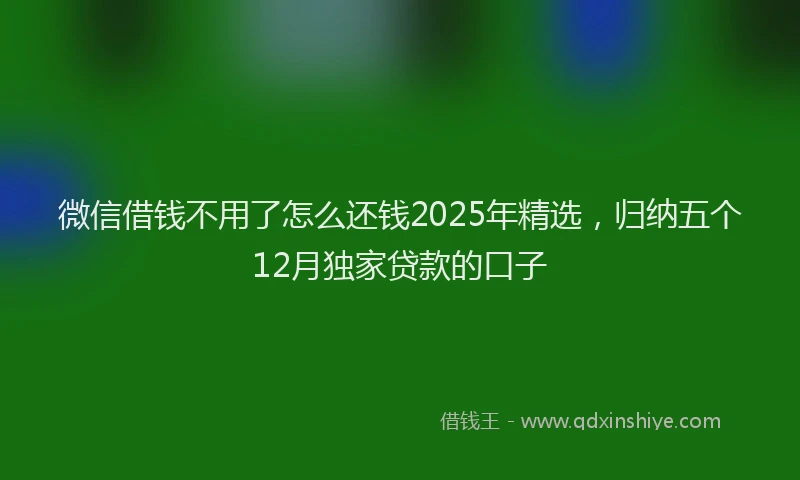 微信借钱不用了怎么还钱2025年精选，归纳五个12月独家贷款的口子