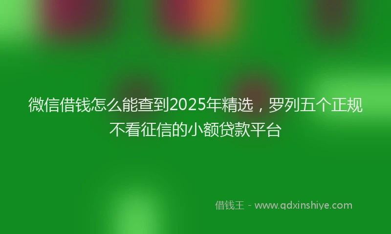 微信借钱怎么能查到2025年精选，罗列五个正规不看征信的小额贷款平台