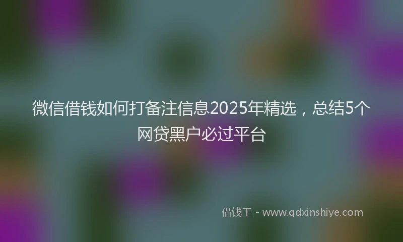 微信借钱如何打备注信息2025年精选，总结5个网贷黑户必过平台