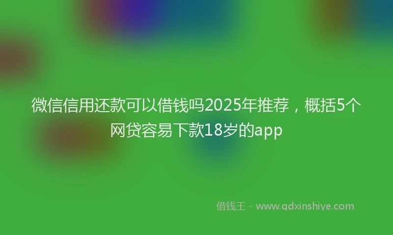 微信信用还款可以借钱吗2025年推荐，概括5个网贷容易下款18岁的app