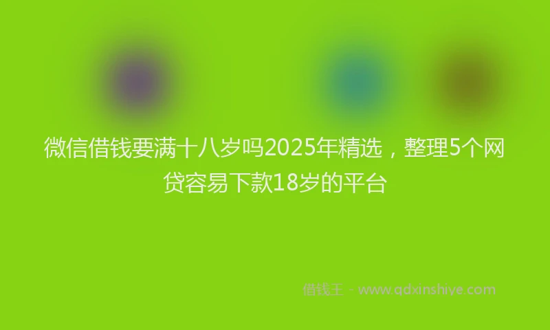 微信借钱要满十八岁吗2025年精选，整理5个网贷容易下款18岁的平台