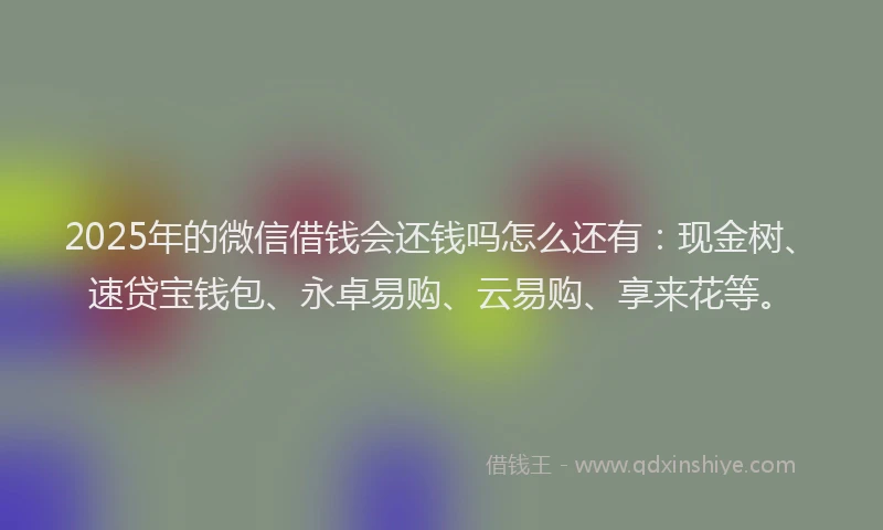 2025年的微信借钱会还钱吗怎么还有：现金树、速贷宝钱包、永卓易购、云易购、享来花等。