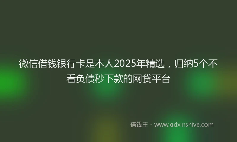 微信借钱银行卡是本人2025年精选，归纳5个不看负债秒下款的网贷平台