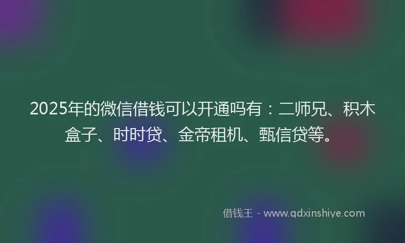 2025年的微信借钱可以开通吗有：二师兄、积木盒子、时时贷、金帝租机、甄信贷等。
