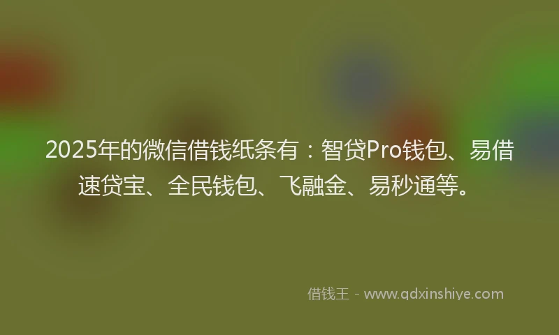 2025年的微信借钱纸条有：智贷Pro钱包、易借速贷宝、全民钱包、飞融金、易秒通等。