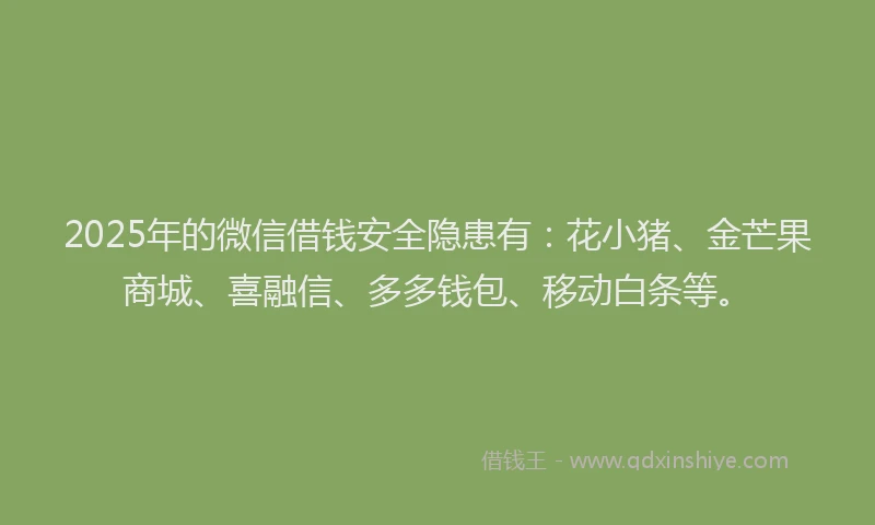 2025年的微信借钱安全隐患有：花小猪、金芒果商城、喜融信、多多钱包、移动白条等。