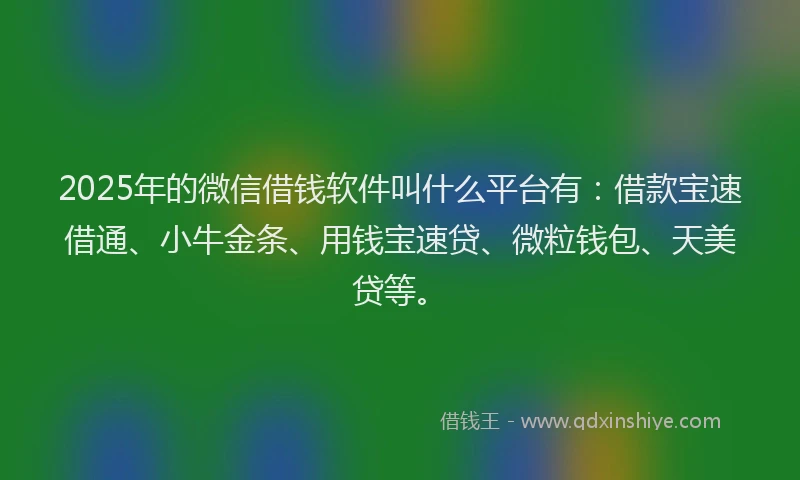 2025年的微信借钱软件叫什么平台有：借款宝速借通、小牛金条、用钱宝速贷、微粒钱包、天美贷等。
