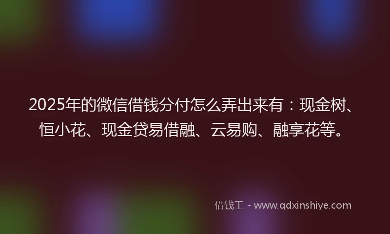 2025年的微信借钱分付怎么弄出来有：现金树、恒小花、现金贷易借融、云易购、融享花等。