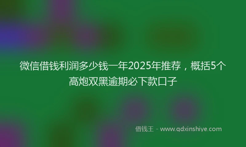 微信借钱利润多少钱一年2025年推荐，概括5个高炮双黑逾期必下款口子