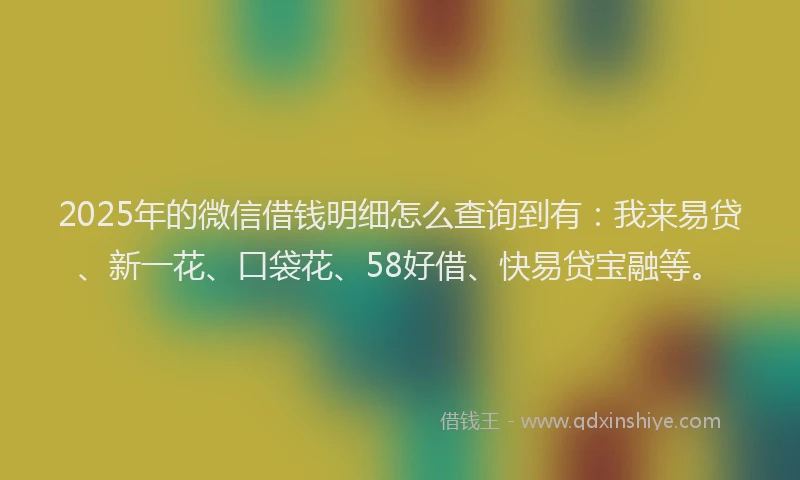 2025年的微信借钱明细怎么查询到有：我来易贷、新一花、口袋花、58好借、快易贷宝融等。