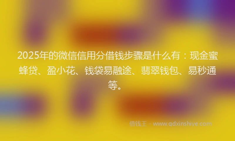 2025年的微信信用分借钱步骤是什么有：现金蜜蜂贷、盈小花、钱袋易融途、翡翠钱包、易秒通等。