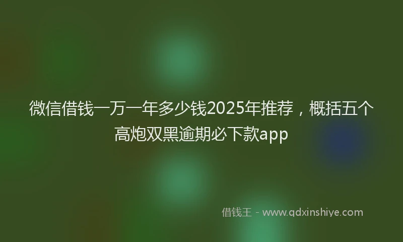 微信借钱一万一年多少钱2025年推荐，概括五个高炮双黑逾期必下款app