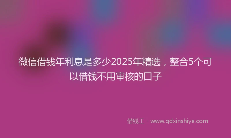 微信借钱年利息是多少2025年精选，整合5个可以借钱不用审核的口子
