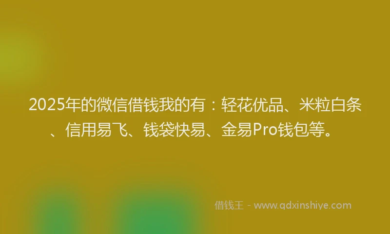2025年的微信借钱我的有：轻花优品、米粒白条、信用易飞、钱袋快易、金易Pro钱包等。