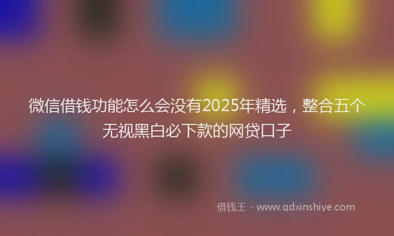 微信借钱功能怎么会没有2025年精选，整合五个无视黑白必下款的网贷口子