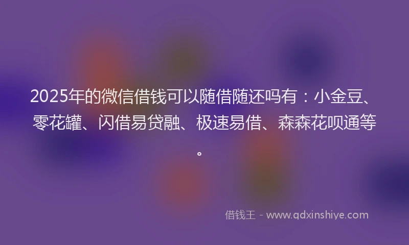 2025年的微信借钱可以随借随还吗有：小金豆、零花罐、闪借易贷融、极速易借、森森花呗通等。