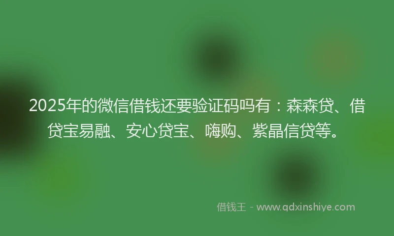 2025年的微信借钱还要验证码吗有：森森贷、借贷宝易融、安心贷宝、嗨购、紫晶信贷等。