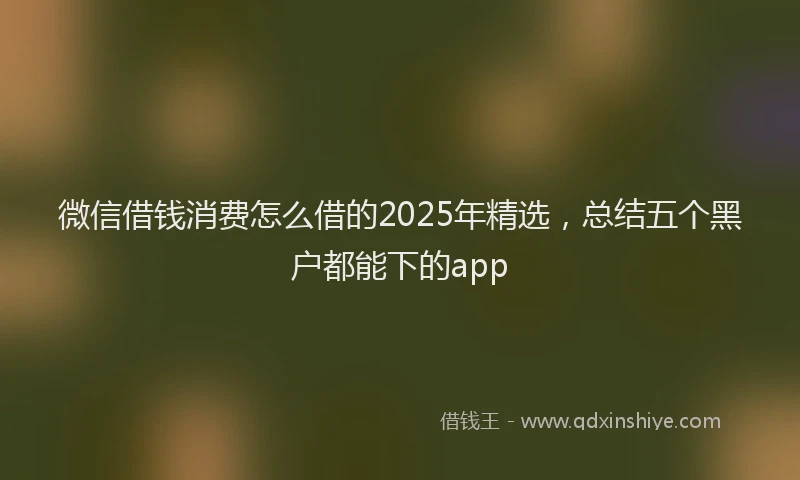 微信借钱消费怎么借的2025年精选，总结五个黑户都能下的app