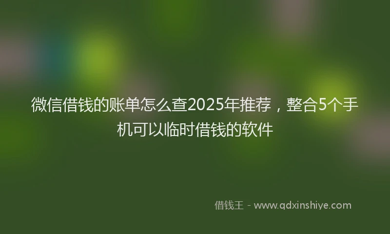 微信借钱的账单怎么查2025年推荐，整合5个手机可以临时借钱的软件