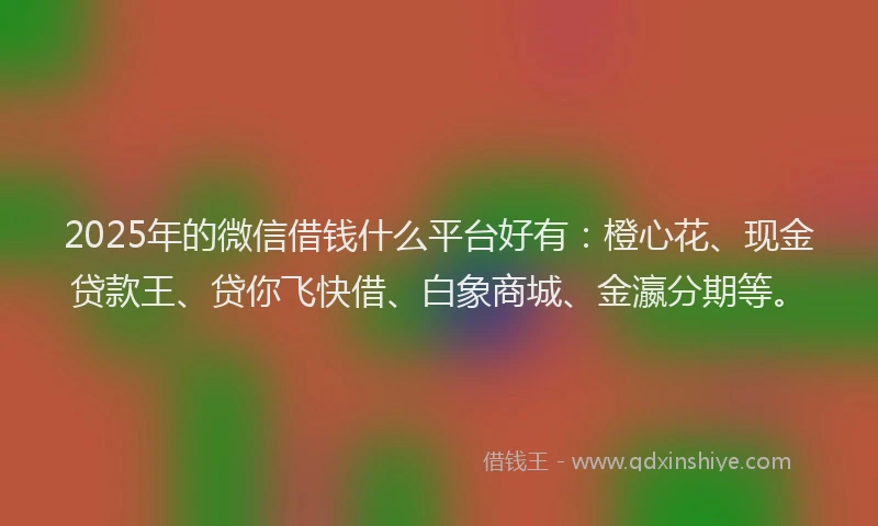 2025年的微信借钱什么平台好有：橙心花、现金贷款王、贷你飞快借、白象商城、金瀛分期等。