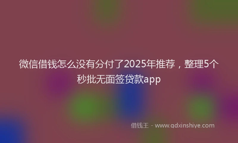 微信借钱怎么没有分付了2025年推荐，整理5个秒批无面签贷款app