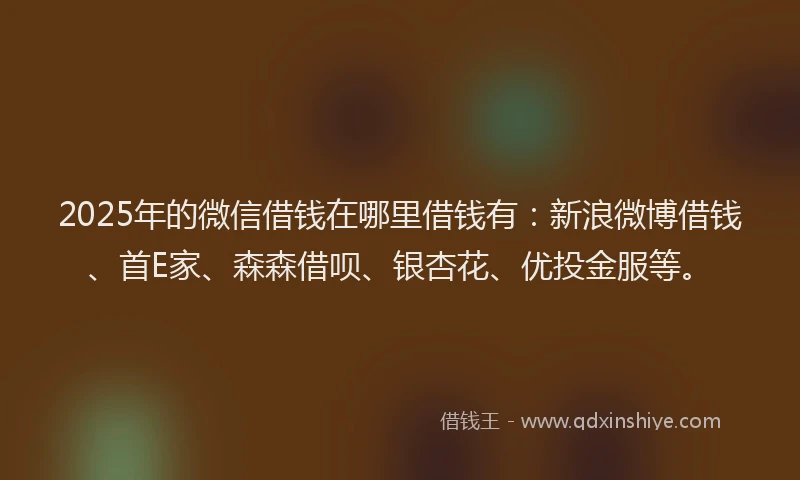 2025年的微信借钱在哪里借钱有：新浪微博借钱、首E家、森森借呗、银杏花、优投金服等。