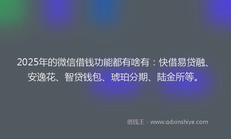 2025年的微信借钱功能都有啥有：快借易贷融、安逸花、智贷钱包、琥珀分期、陆金所等。
