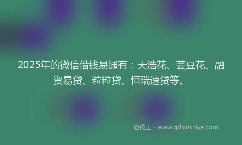 2025年的微信借钱易通有：天浩花、芸豆花、融资易贷、粒粒贷、恒瑞速贷等。