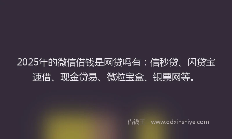 2025年的微信借钱是网贷吗有：信秒贷、闪贷宝速借、现金贷易、微粒宝盒、银票网等。