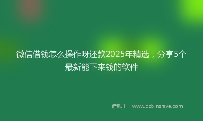 微信借钱怎么操作呀还款2025年精选，分享5个最新能下来钱的软件