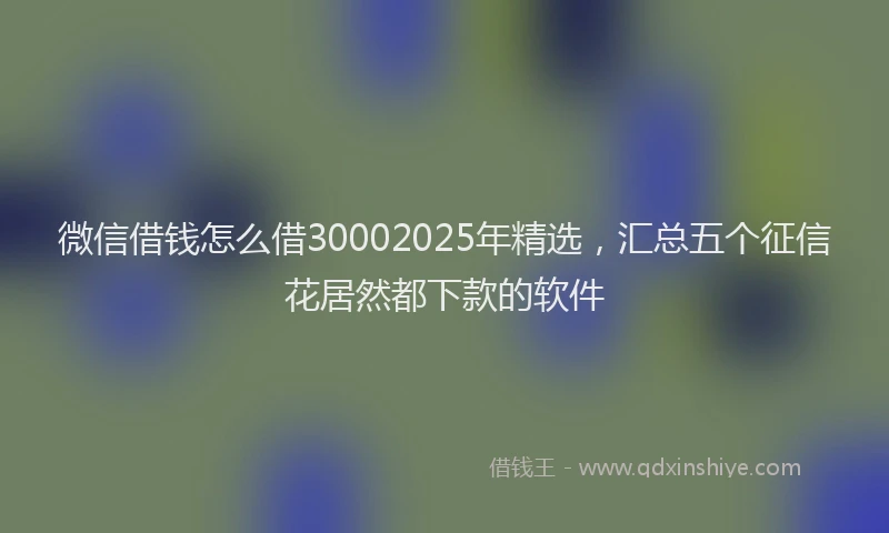 微信借钱怎么借30002025年精选，汇总五个征信花居然都下款的软件