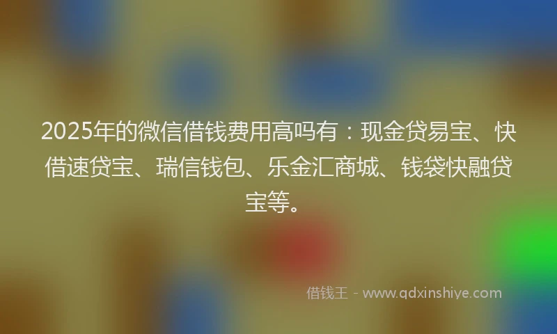 2025年的微信借钱费用高吗有：现金贷易宝、快借速贷宝、瑞信钱包、乐金汇商城、钱袋快融贷宝等。