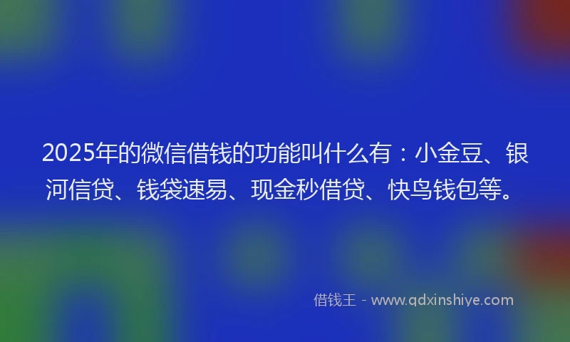 2025年的微信借钱的功能叫什么有：小金豆、银河信贷、钱袋速易、现金秒借贷、快鸟钱包等。