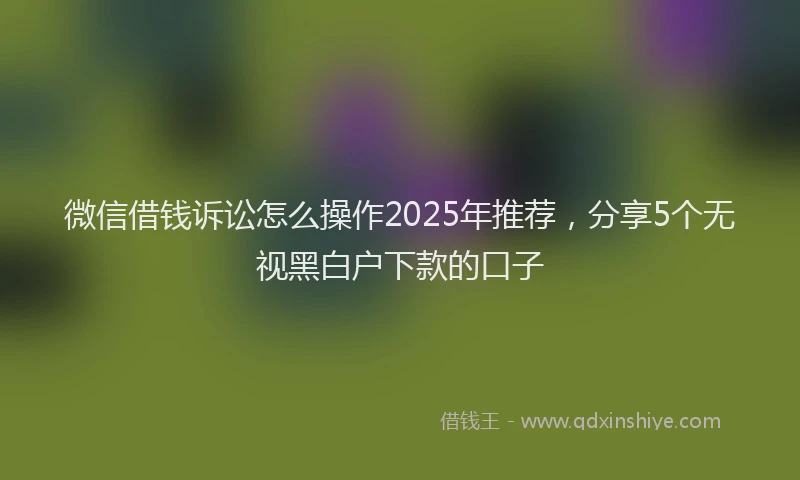 微信借钱诉讼怎么操作2025年推荐，分享5个无视黑白户下款的口子