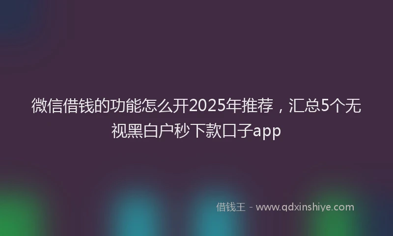微信借钱的功能怎么开2025年推荐，汇总5个无视黑白户秒下款口子app