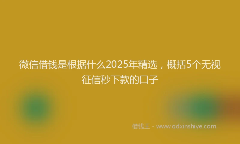 微信借钱是根据什么2025年精选，概括5个无视征信秒下款的口子