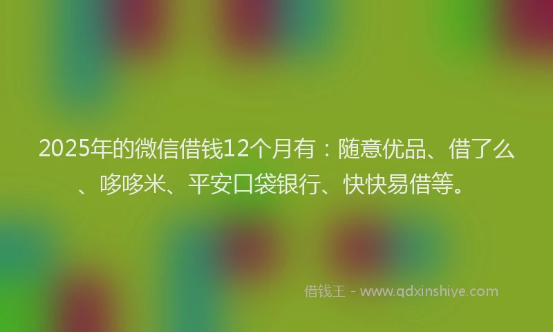 2025年的微信借钱12个月有：随意优品、借了么、哆哆米、平安口袋银行、快快易借等。