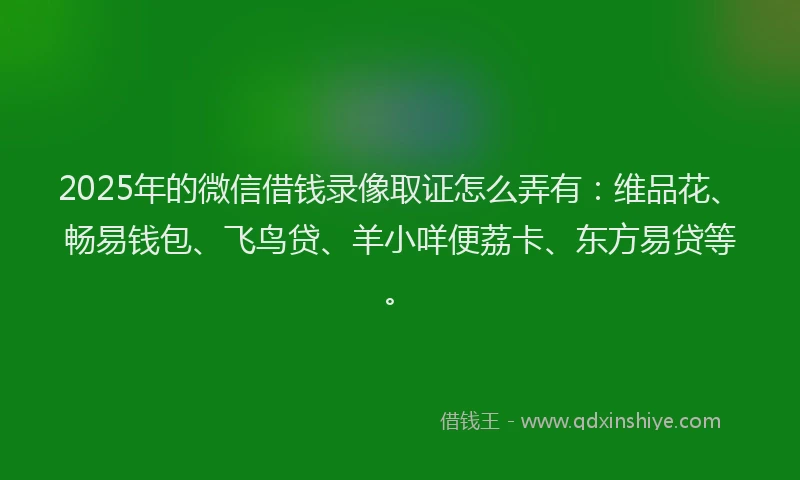 2025年的微信借钱录像取证怎么弄有：维品花、畅易钱包、飞鸟贷、羊小咩便荔卡、东方易贷等。