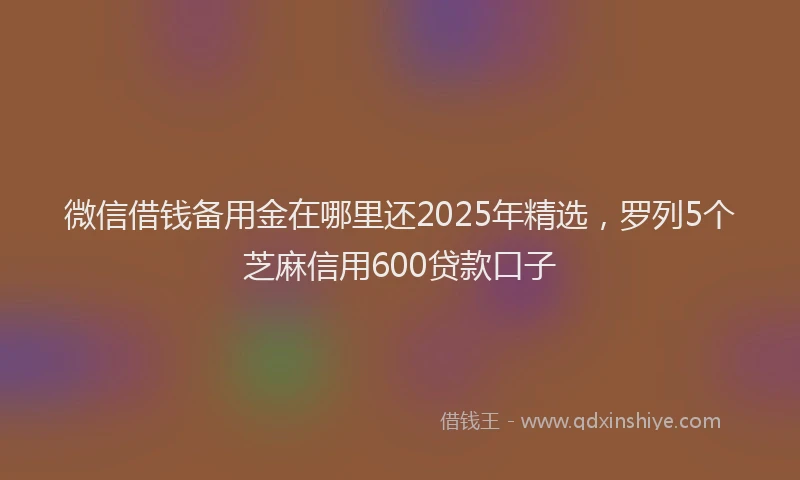 微信借钱备用金在哪里还2025年精选，罗列5个芝麻信用600贷款口子