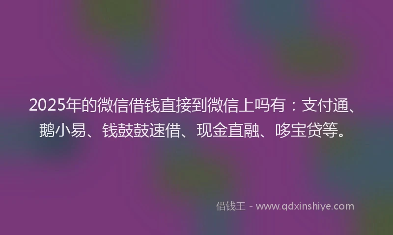 2025年的微信借钱直接到微信上吗有：支付通、鹅小易、钱鼓鼓速借、现金直融、哆宝贷等。